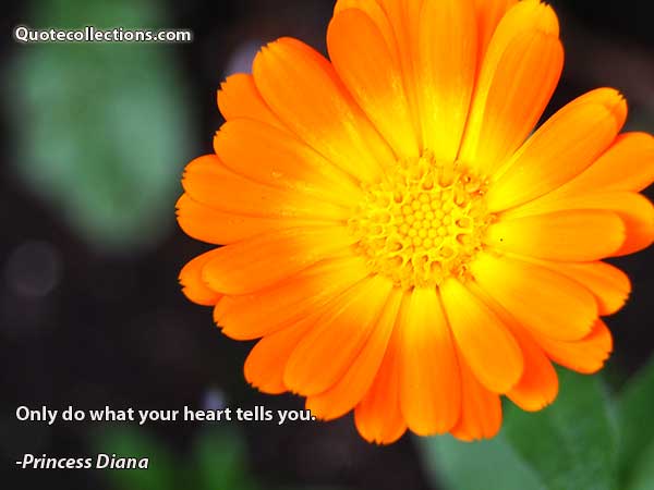 Princess Diana Quotes8